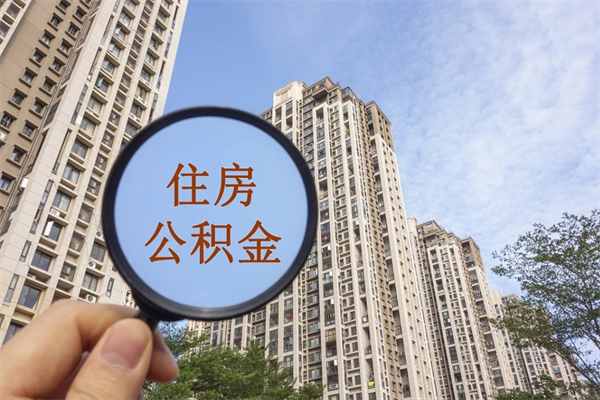 日照离职多久可以取住房公积金(离职多久后能取公积金) 日照离职多久可以取住房公积金(离职多久后能取公积金)